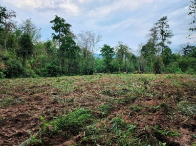 Anlegen von Graslandschaften