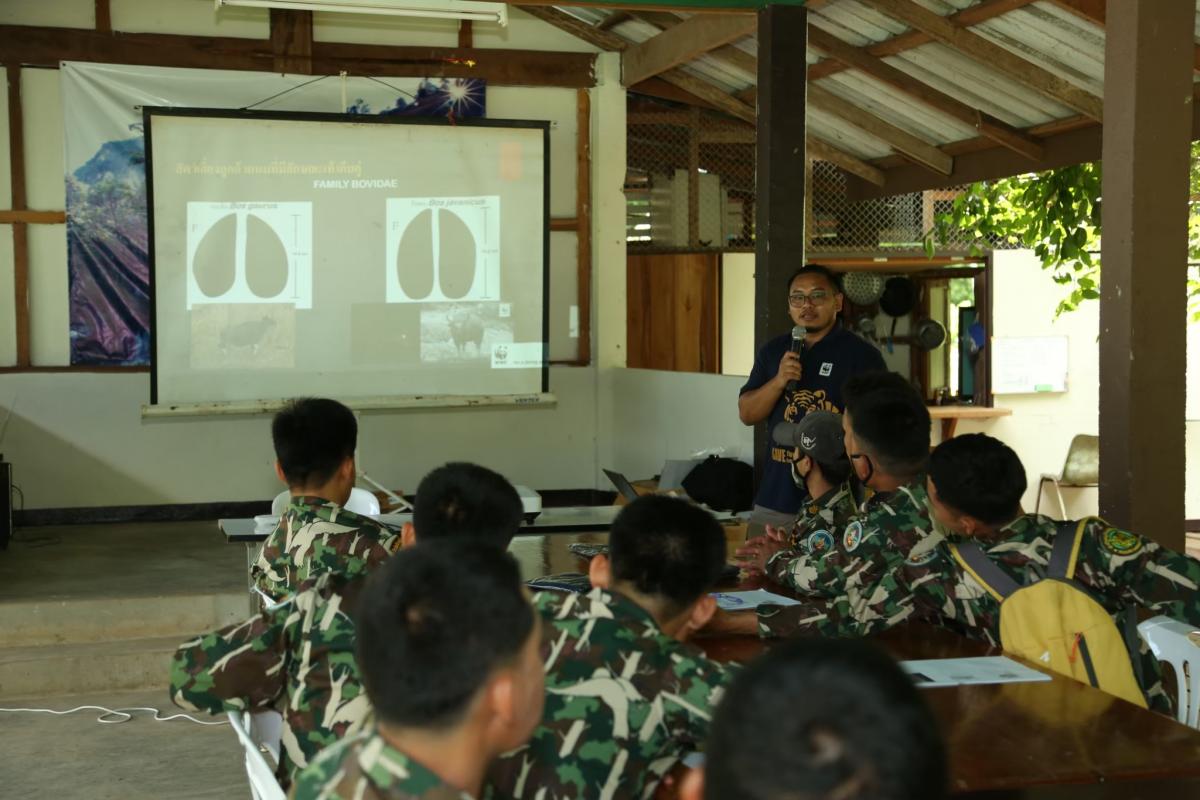 Wildhüter bei einer Schulung zur Auswertung von Kamerafallendaten