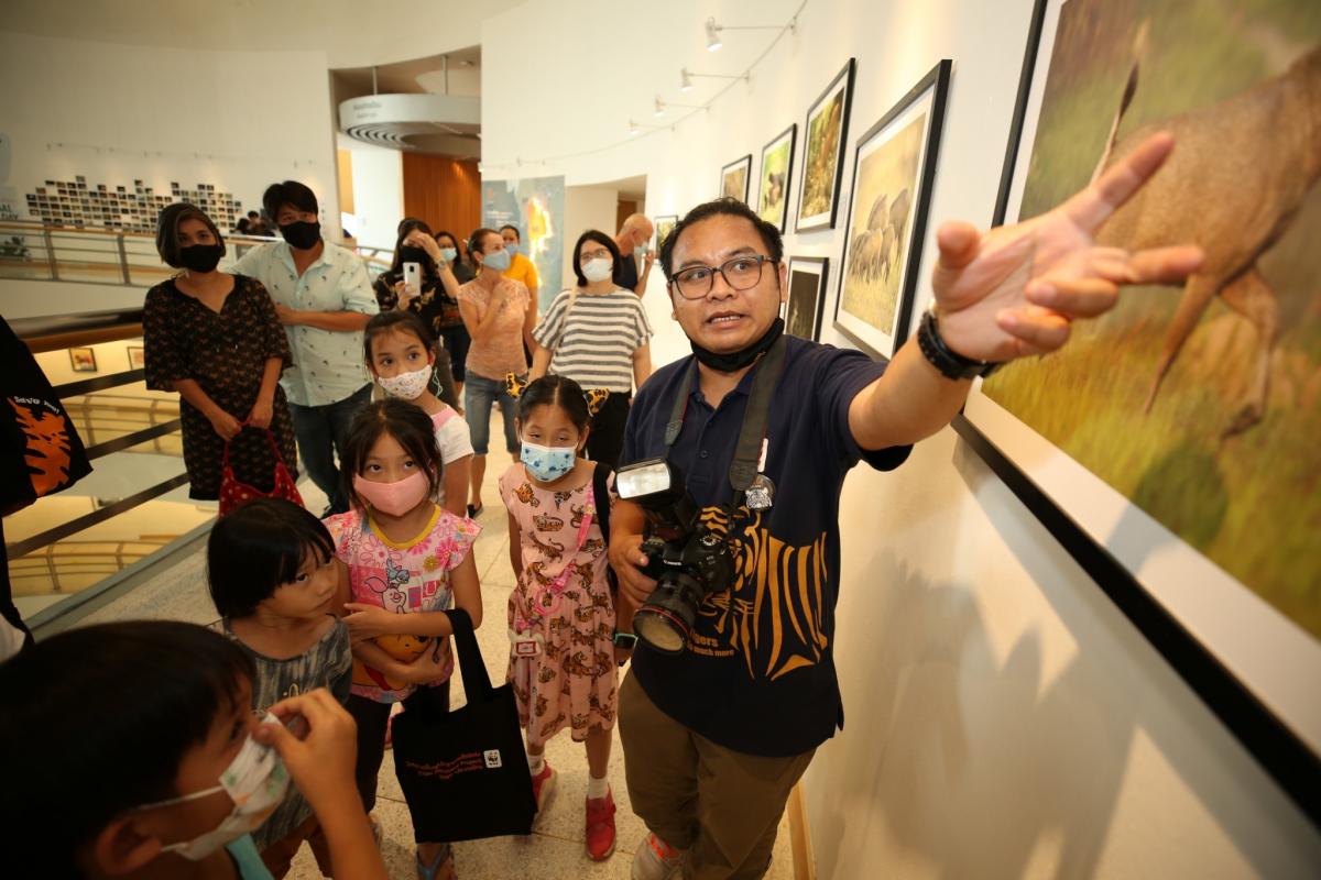 Ausstellung zum Tigerschutz am Bangkok Art and Culture Centre