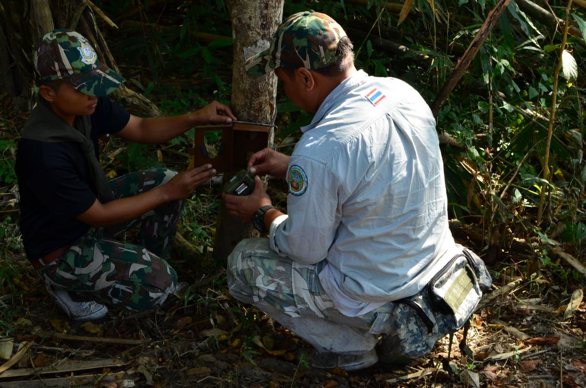  Patrol through the jungle